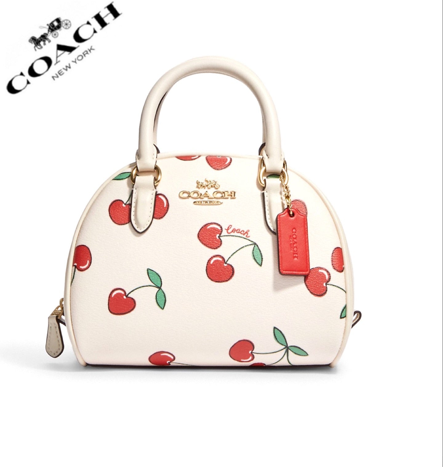 COACH®  Mini Rowan File Bag In Signature Canvas With Floral Cluster Print
