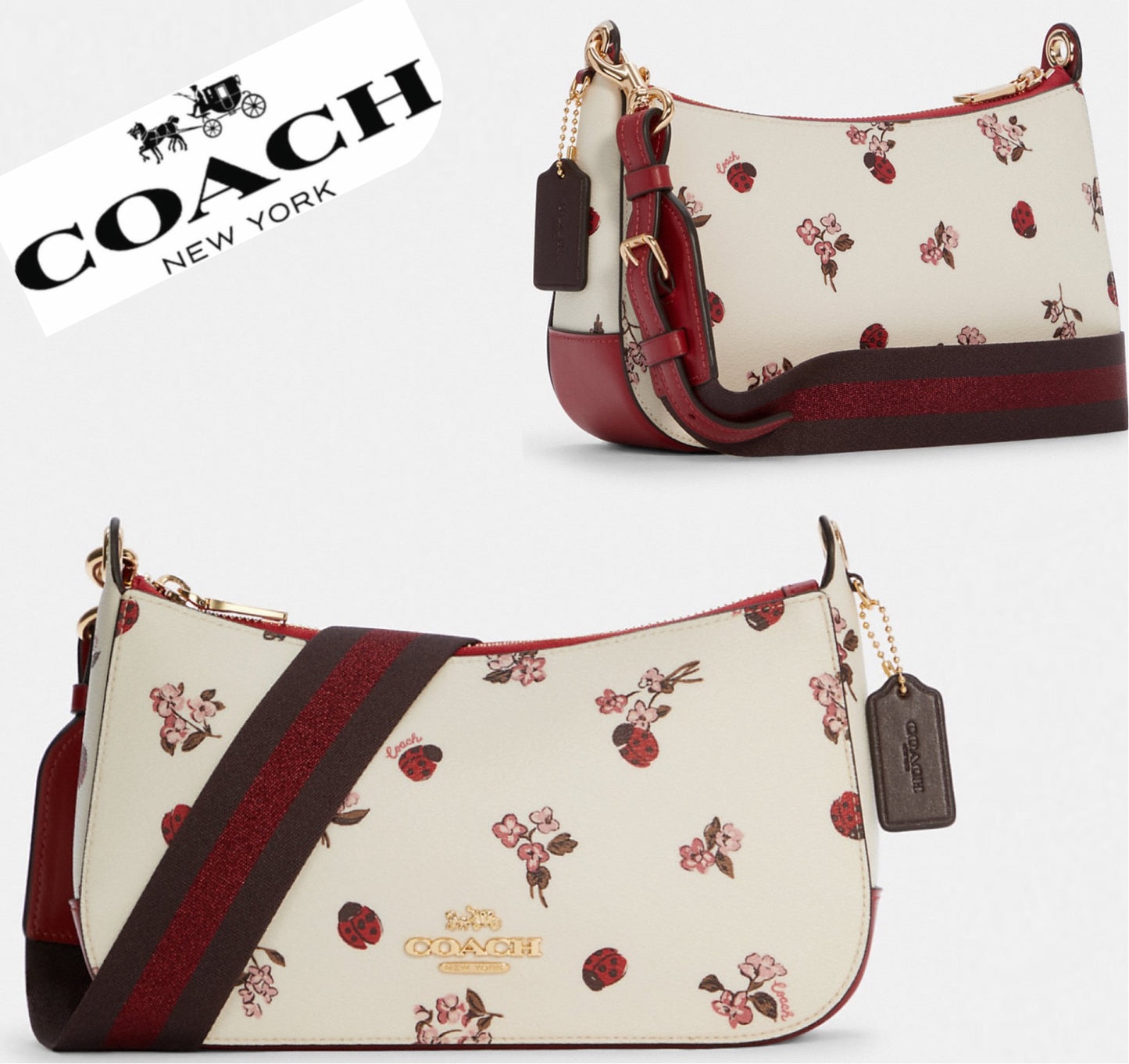 Coach Jes Baguette With Ladybug Floral Print