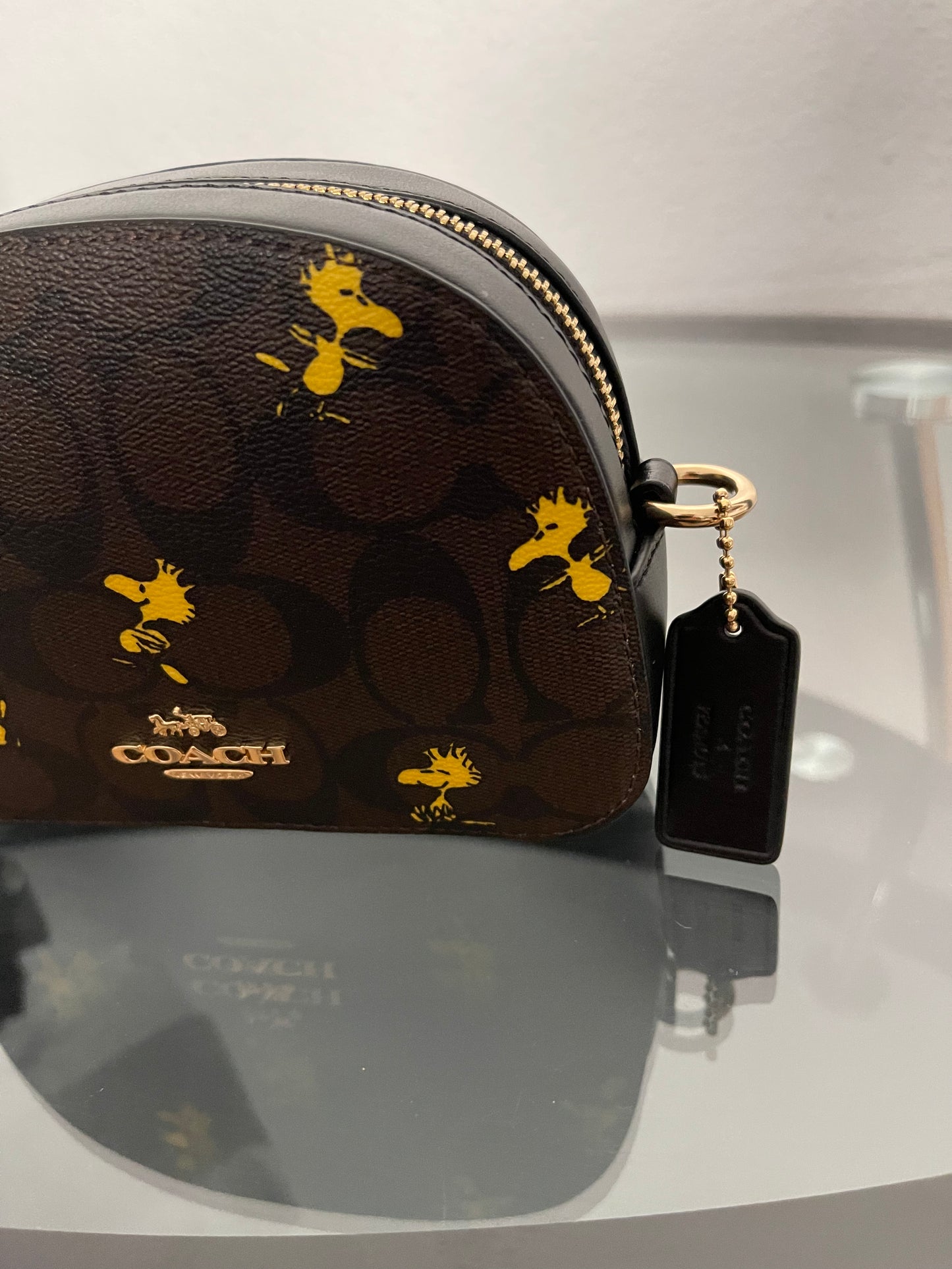 Coach X Peanuts Mini Serena Crossbody In Signature Canvas With Woodstock Print