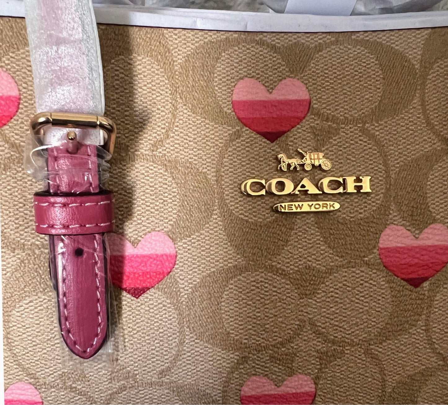 Coach Mollie Tote 25 In Signature Canvas With Stripe Heart Print